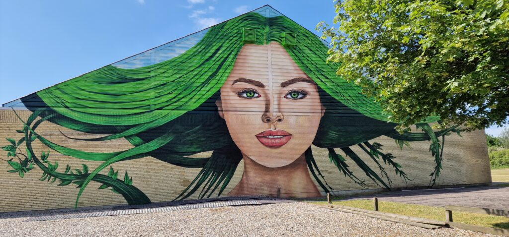 Urban mural in Drabæks Mølle, Lunderskov (Denmark) by Tardor, urban art with Nordic nature.