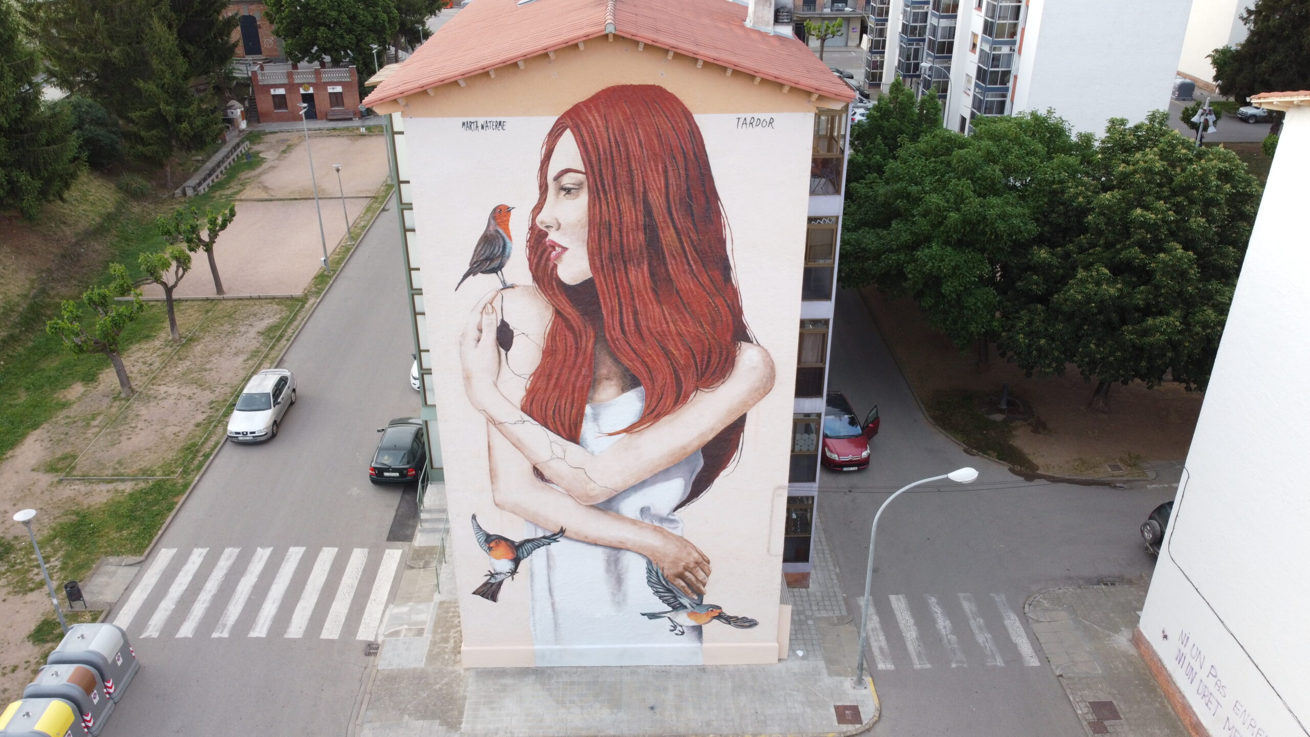 Detalle de color y ritmo visual del mural urbano en Campdevànol, obra de Tardor, muralista en Catalunya.