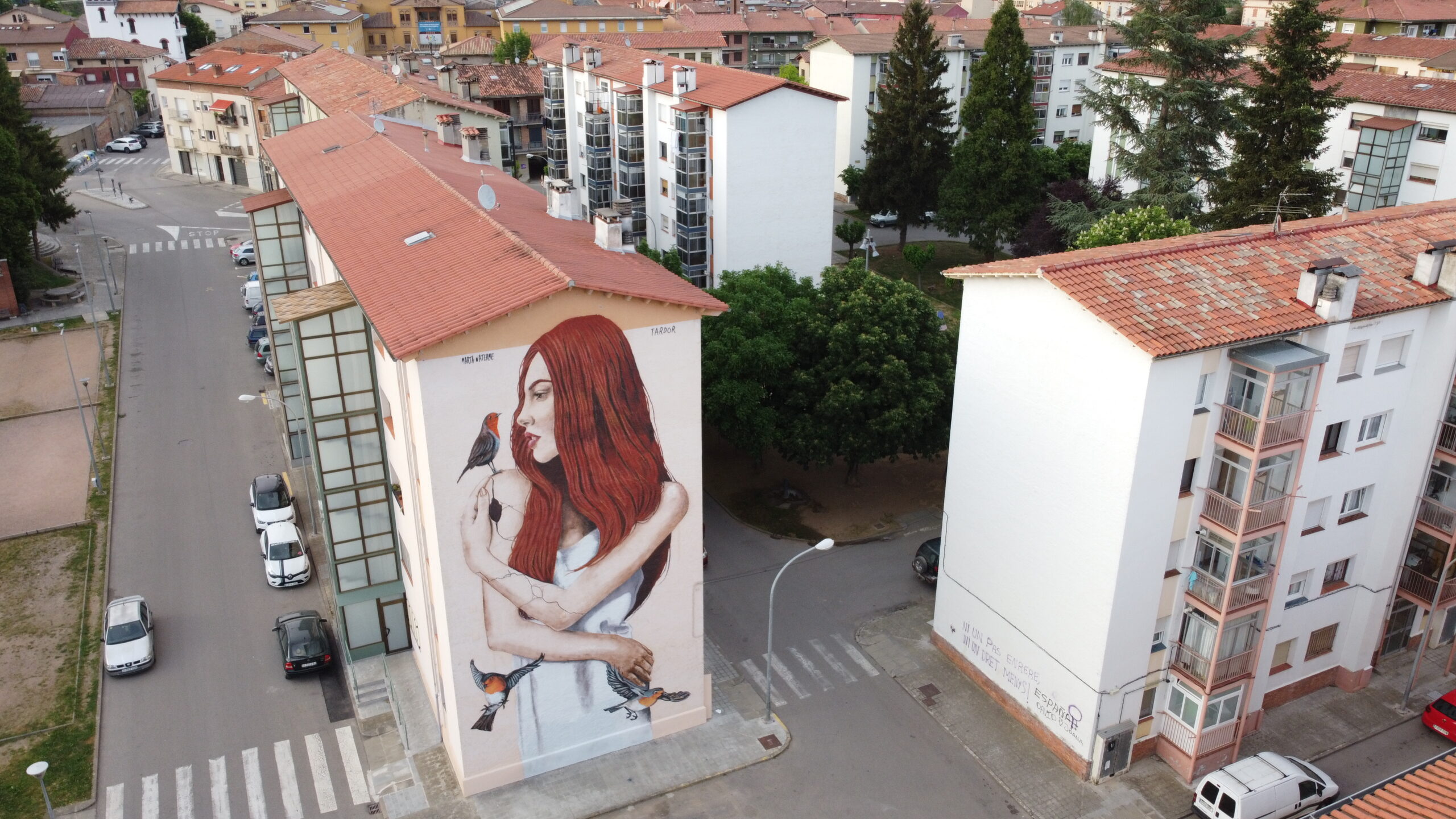 Mural urbano integrado en el paisaje urbano de Campdevànol por Tardor — arte urbano profesional.