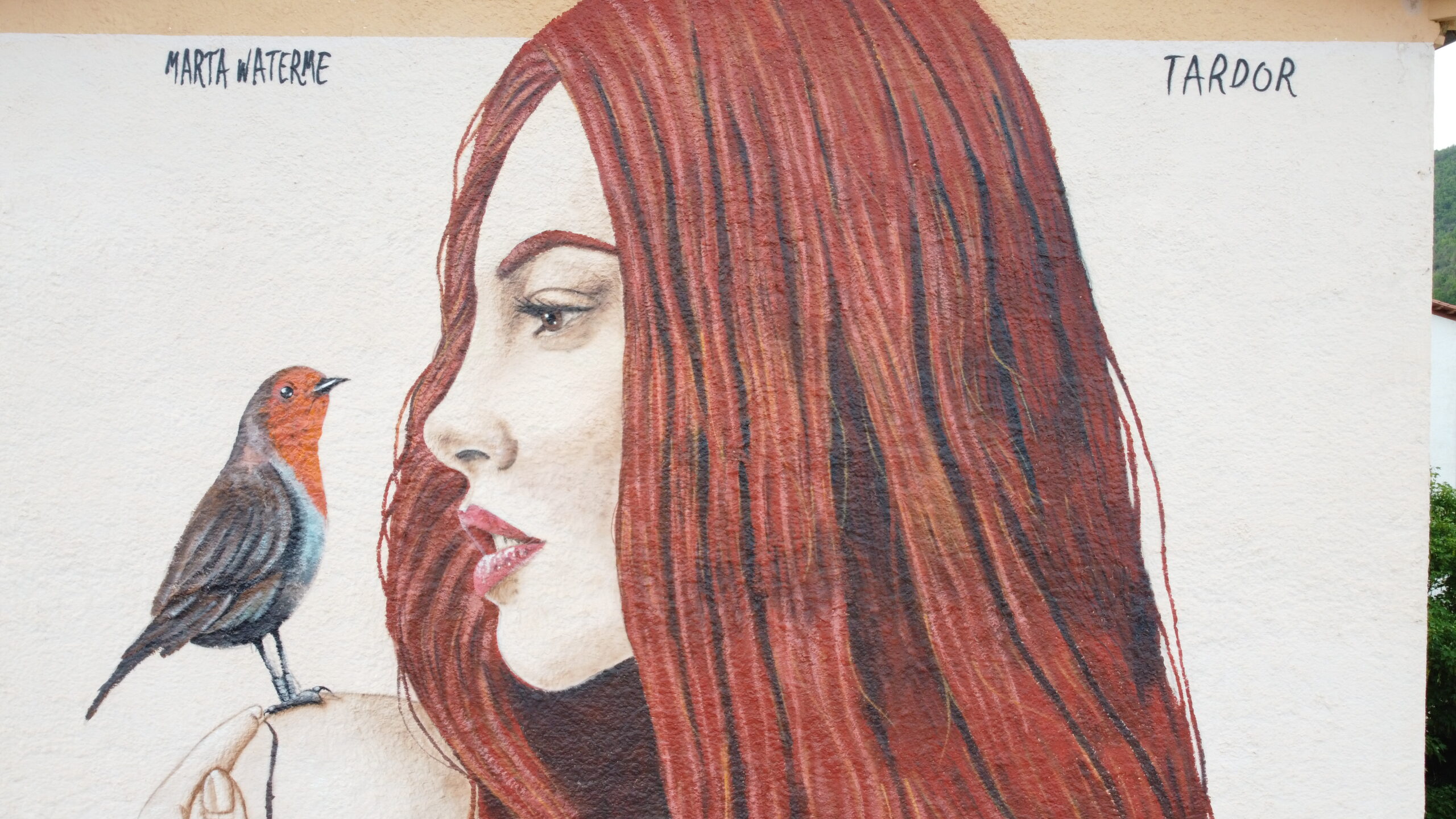 Detalle de motivos compositivos del mural urbano en Campdevànol por Tardor — arte urbano profesional.