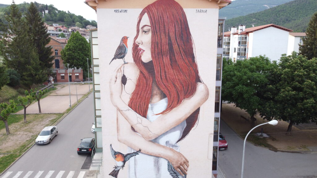 Detail of the urban mural in Campdevànol by Tardor - personalized urban art for cities like Barcelona.