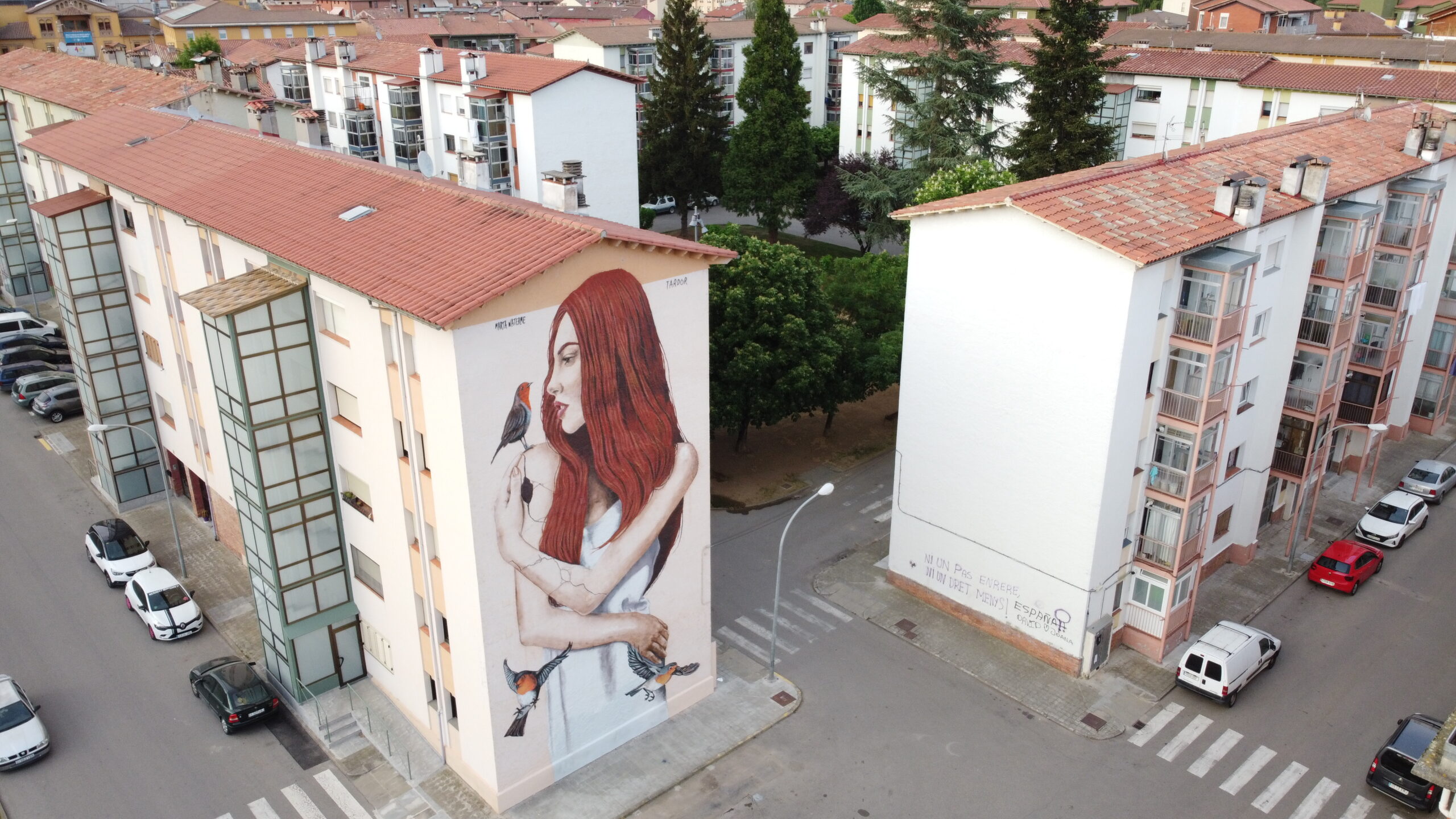 Mural urbano en Campdevànol, Catalunya, por Tardor — arte urbano por encargo adaptable a Barcelona y otras ciudades.